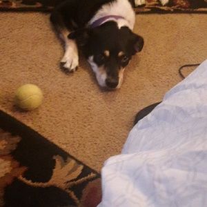 Meet your Posher, Abigal